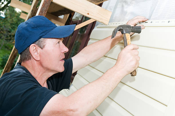 Best Custom Trim and Detailing for Siding  in Cairo, IL