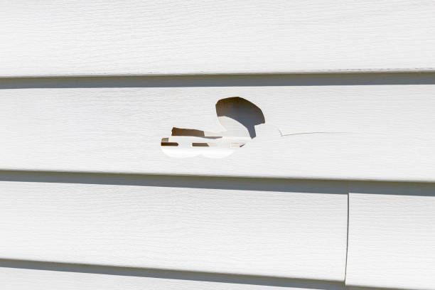 Best Insulated Siding Installation  in Cairo, IL