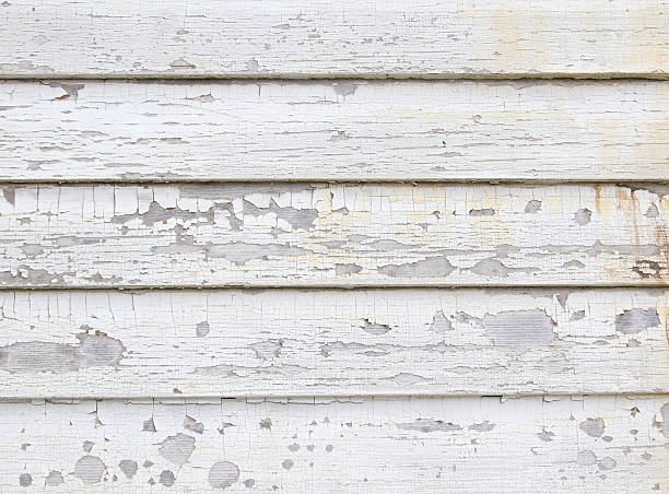 Affordable Siding Repair and Maintenance Services in Cairo, IL